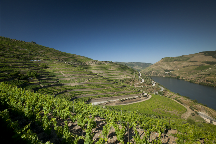 Quinta do Seixo