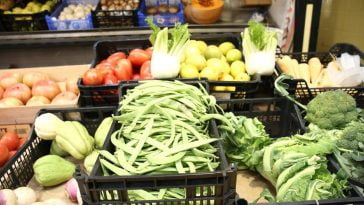 observatório de preços