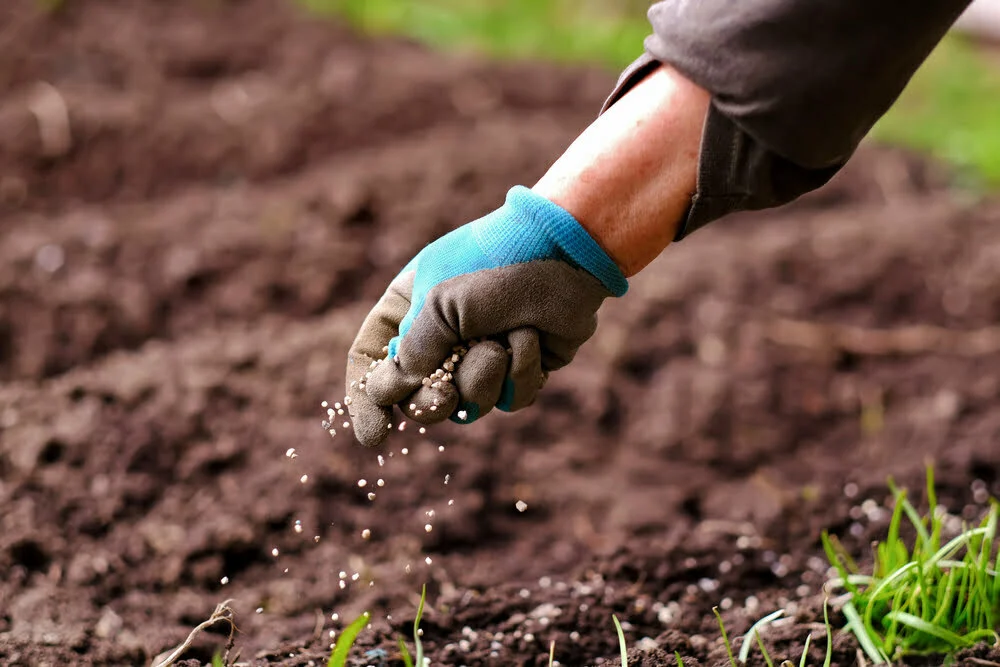 União Europeia quer reforçar abastecimento de fertilizantes e segurança alimentar