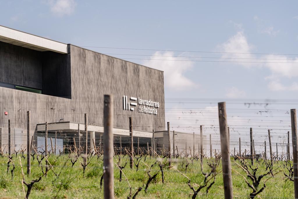 Lavradores de Feitoria expande negócio com enoturismo na Quinta de Medronheiro