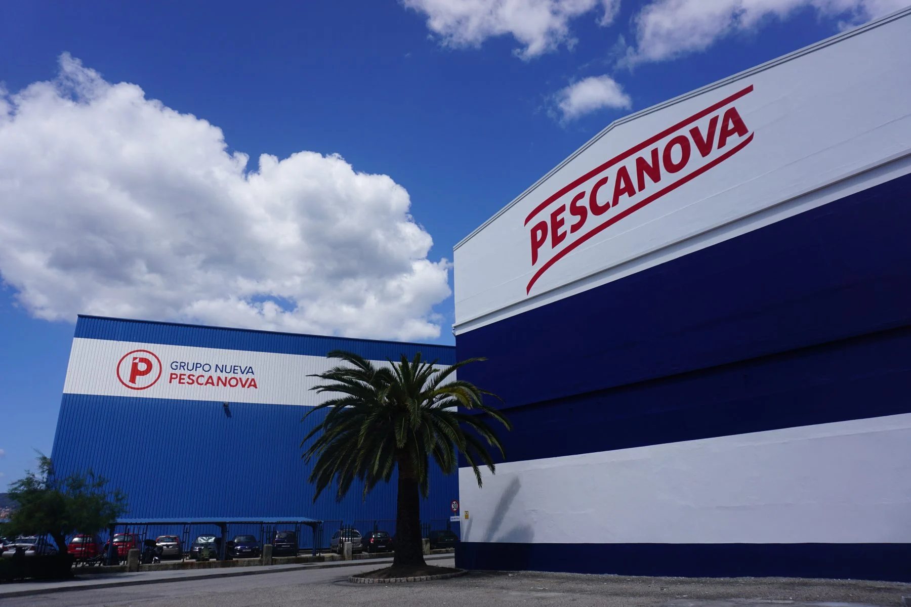 Volume de negócios da Nueva Pescanova aumentou em 21,4%