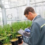 Laboratoires / Serres/ CMI