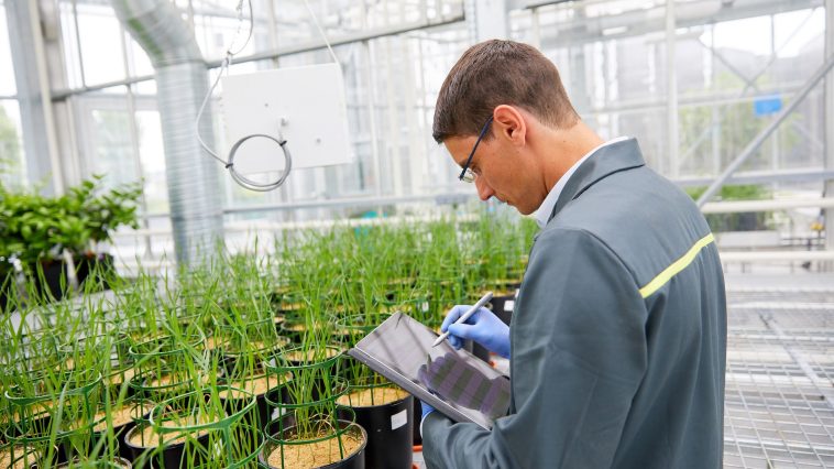 Laboratoires / Serres/ CMI