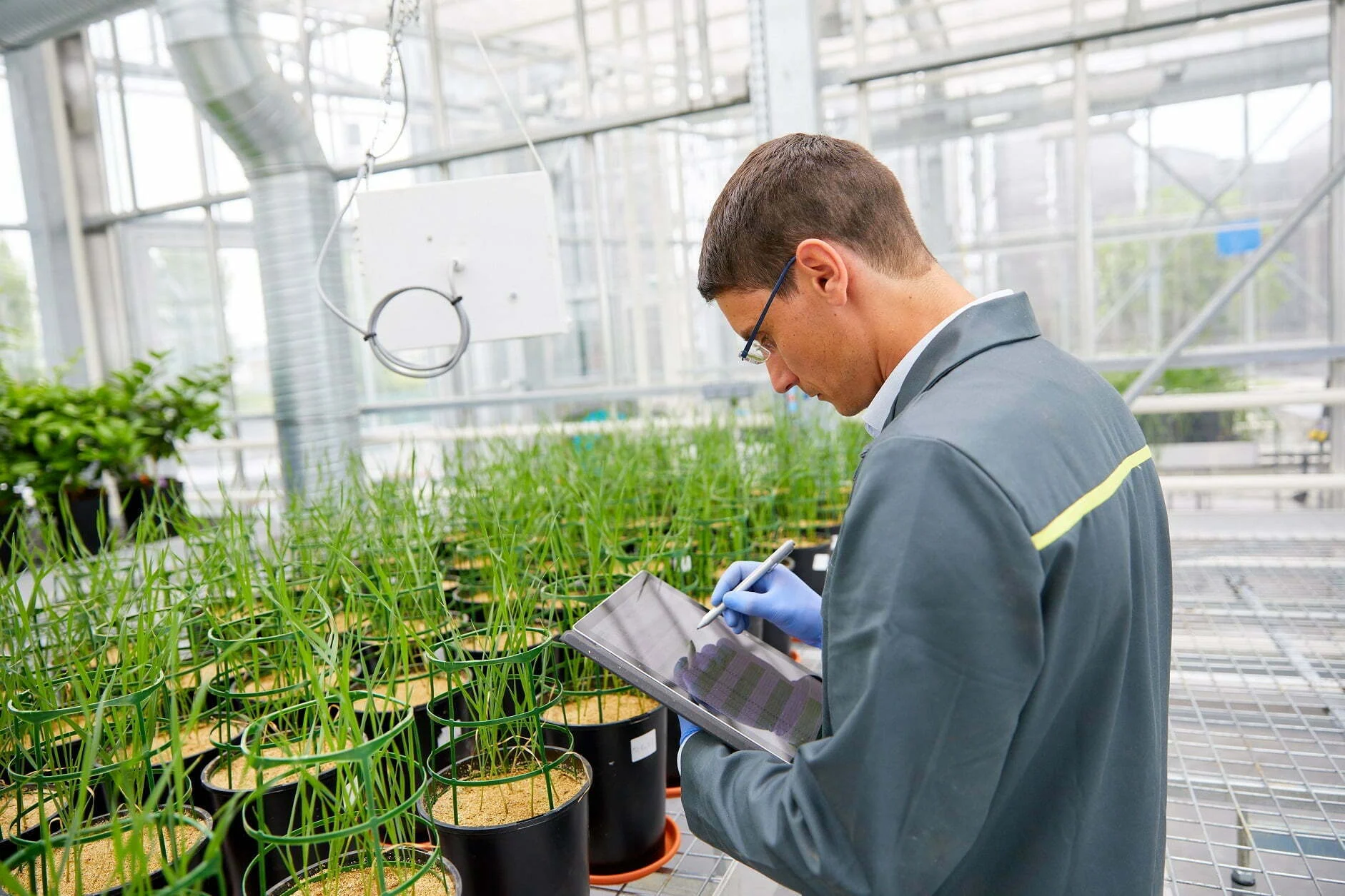 Timac Agro lança primeiro curso de capacitação em nutrição vegetal