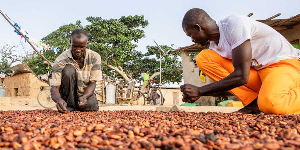 Nestlé assinala Dia Mundial do Chocolate com balanço das conquistas e planos para o futuro