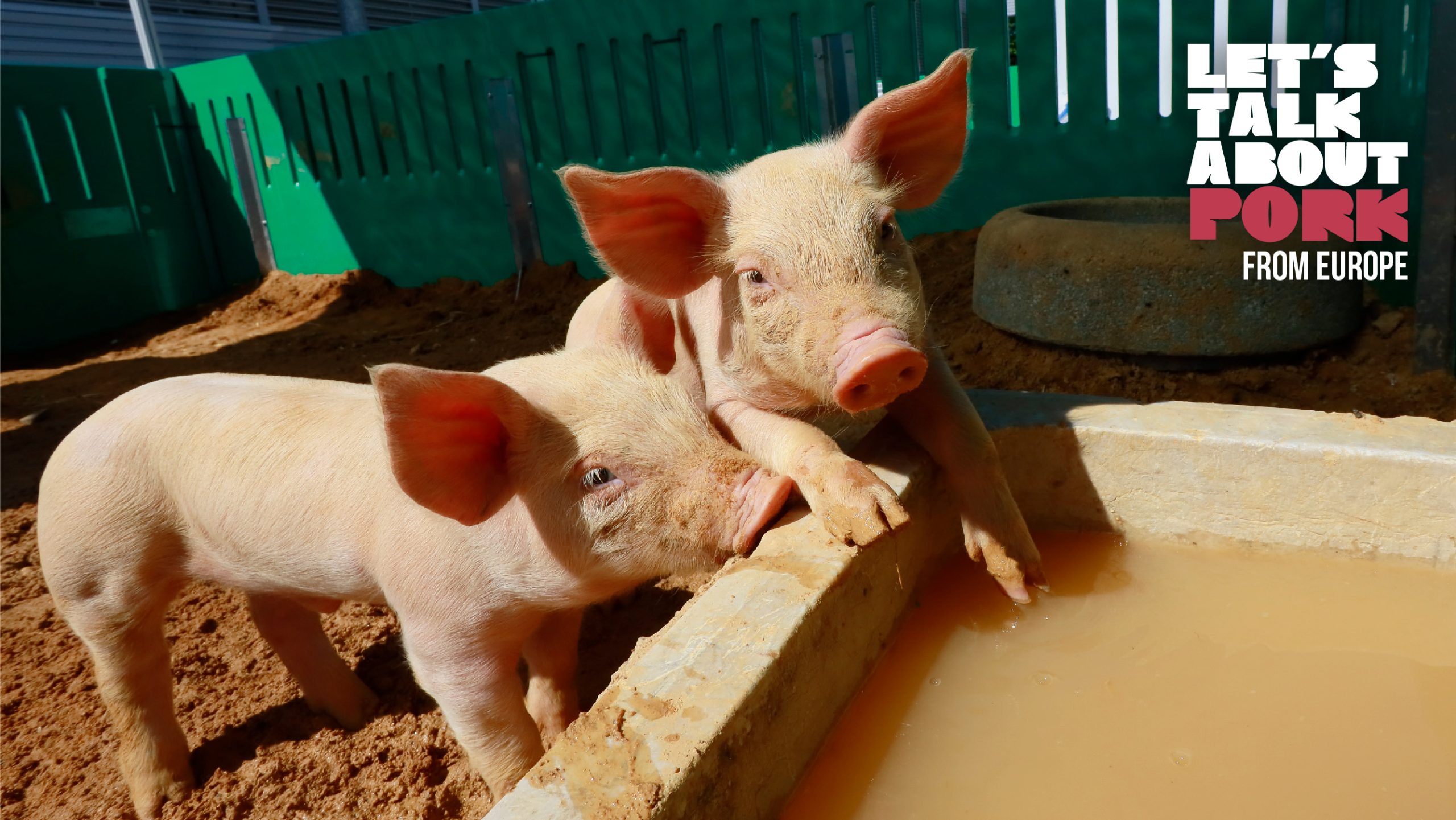 Valorgado vence Prémio Inovação com projeto de melhoria da eficiência hídrica