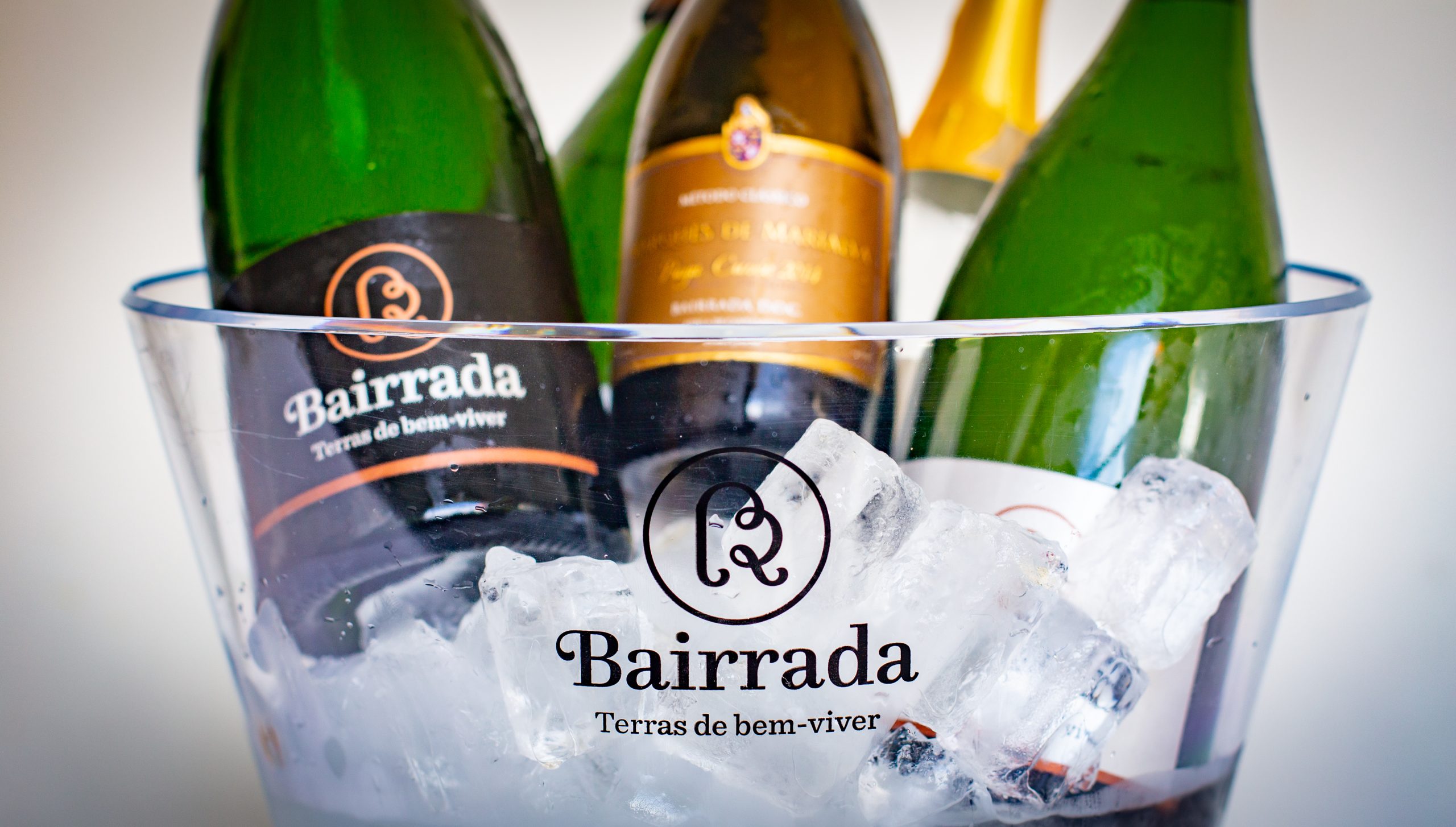 Bairrada mantém nível de produção na vindima 2022 e aumenta certificação de vinhos em 10%