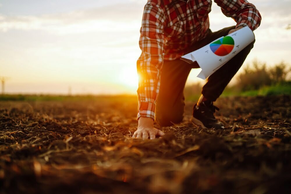 Aprovado projeto de 110 milhões de euros para transformar o sector agroalimentar português