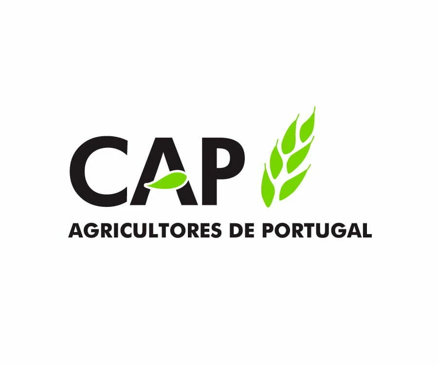 CAP condena apelo ao vegetarianismo no Manual do Peregrino