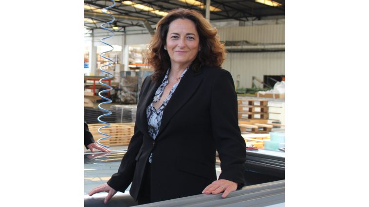 Isabel Azevedo, Presidente do Grupo FRICON