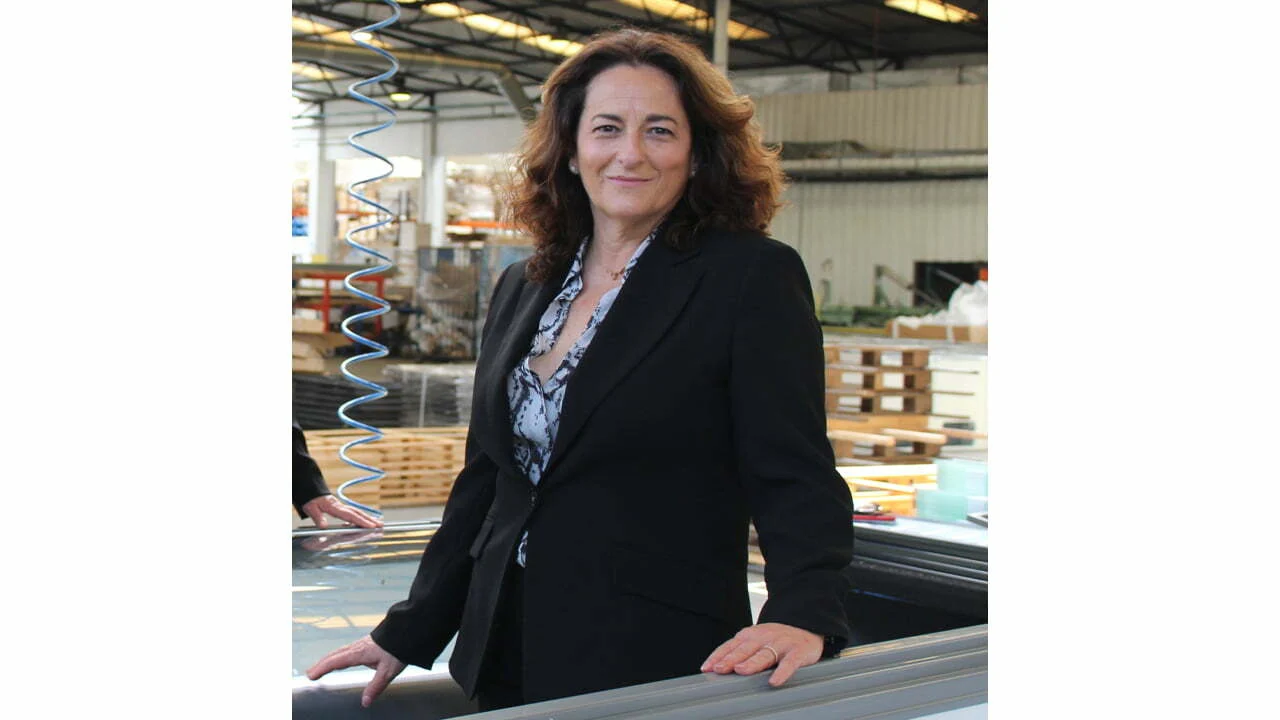 Isabel Azevedo, Presidente do Grupo FRICON