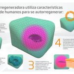 2392-DS-Smith-Box-of-the-future-Infographic_PT+de