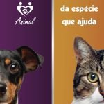 Banco Solidário Animal