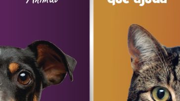 Banco Solidário Animal