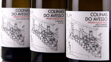 Colinas do Avesso - Quinta da Lixa