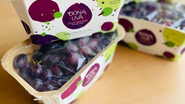 Nova Cuvete Dona Uva jpeg