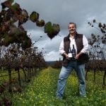 Paulo Laureano PR Lemon Zest[65]