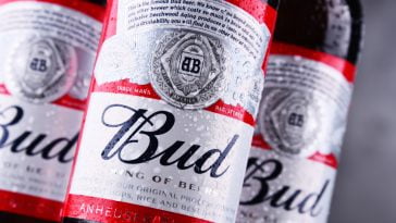Budweiser