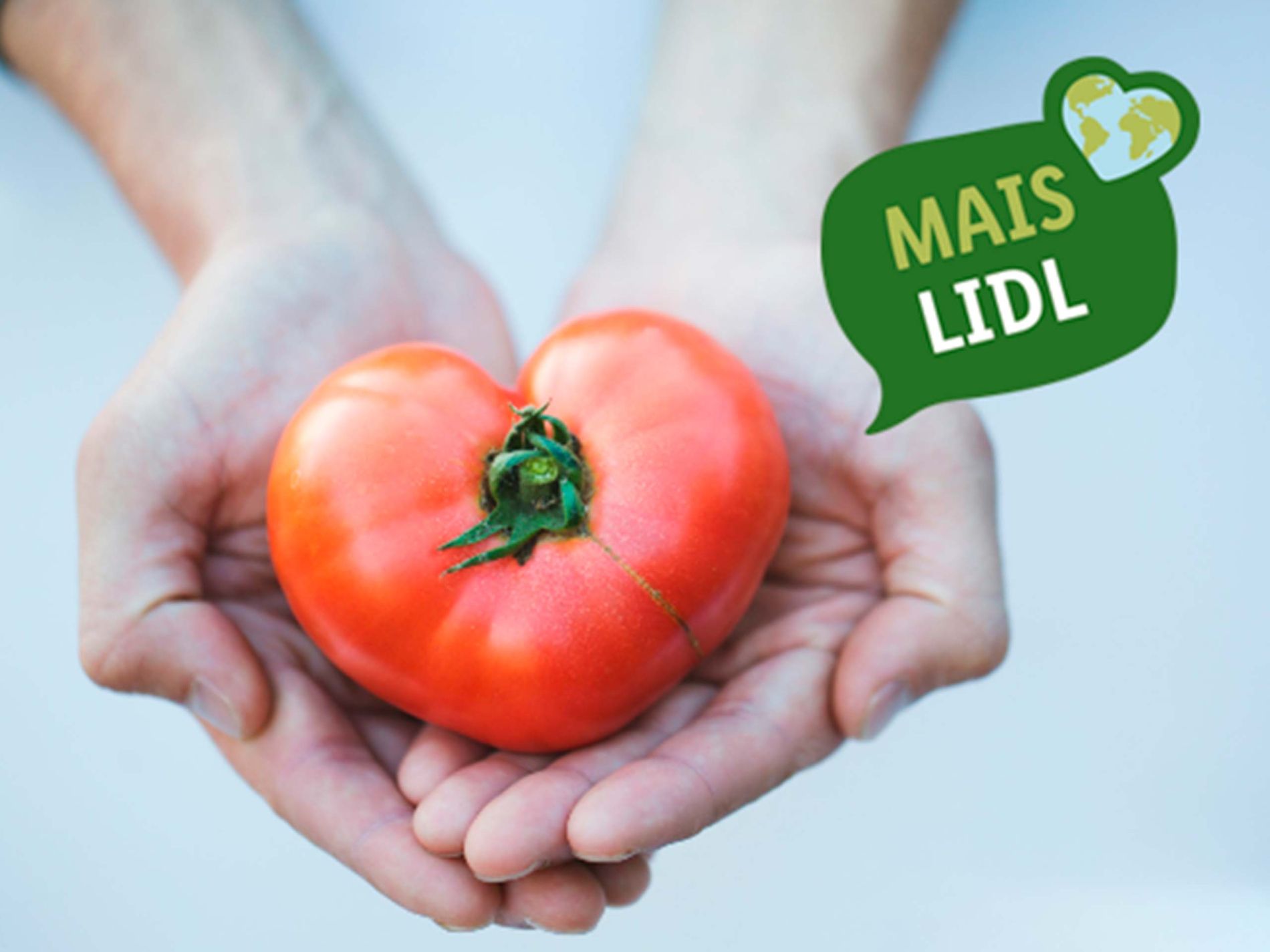 Lidl doou 3,7 mil toneladas de alimentos em 2022, ajudando mais de 330 mil pessoas