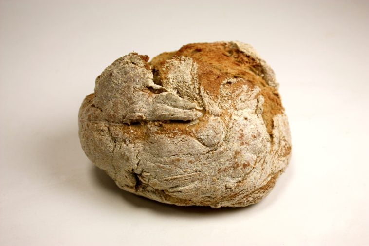 Pão de Rio Maior com Canela e Maçã de Alcobaça 3