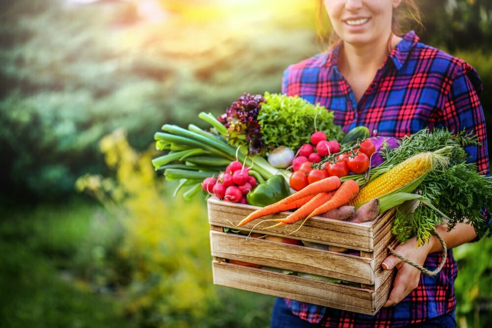 Bruxelas vai financiar com 186 milhões euros projetos que promovam alimentos sustentáveis