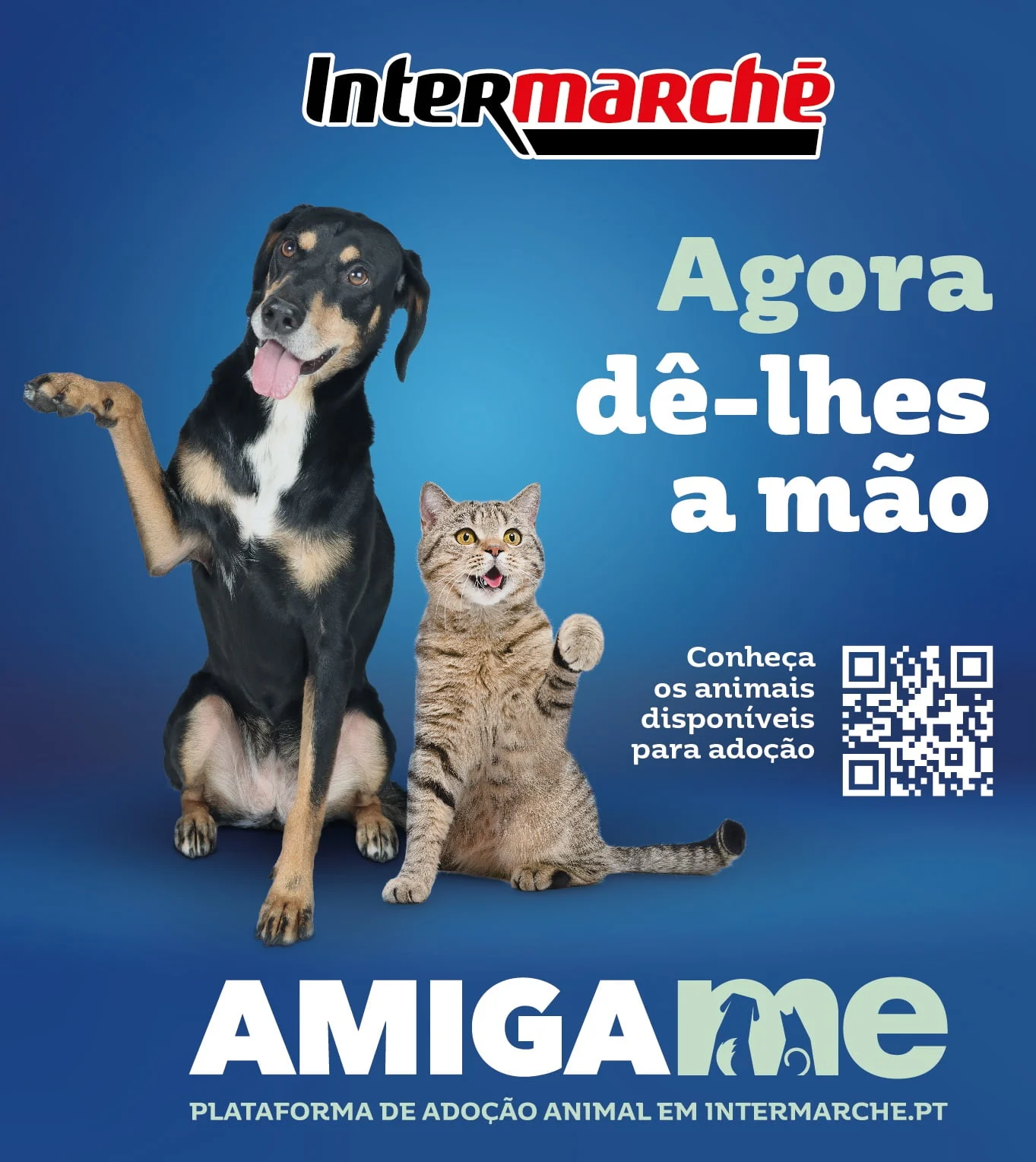 Intermarché apoia associações de proteção animal com campanha solidária Amiga-me
