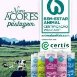 Nova Açores Pastagem