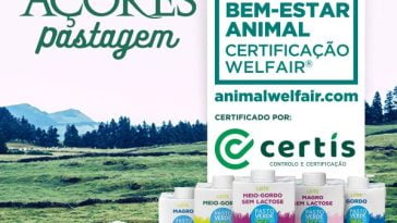 Nova Açores Pastagem