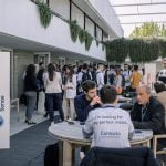 Programa Contacto 2022 vm