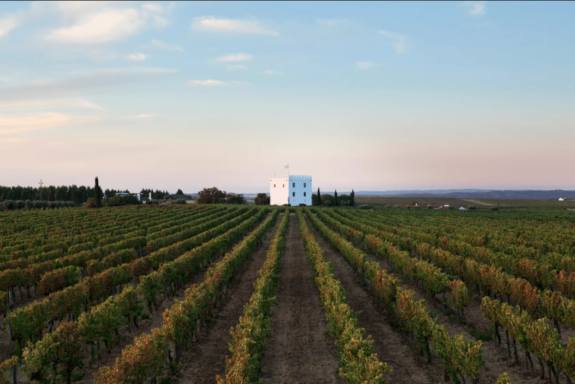 Esporão renova a distinção como uma das marcas de vinho mais admiradas do mundo