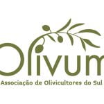 OLIVUM azeite produção