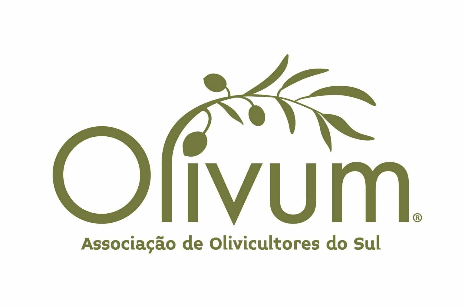 OLIVUM representa 70% da produção nacional de azeite na campanha 2023/2024