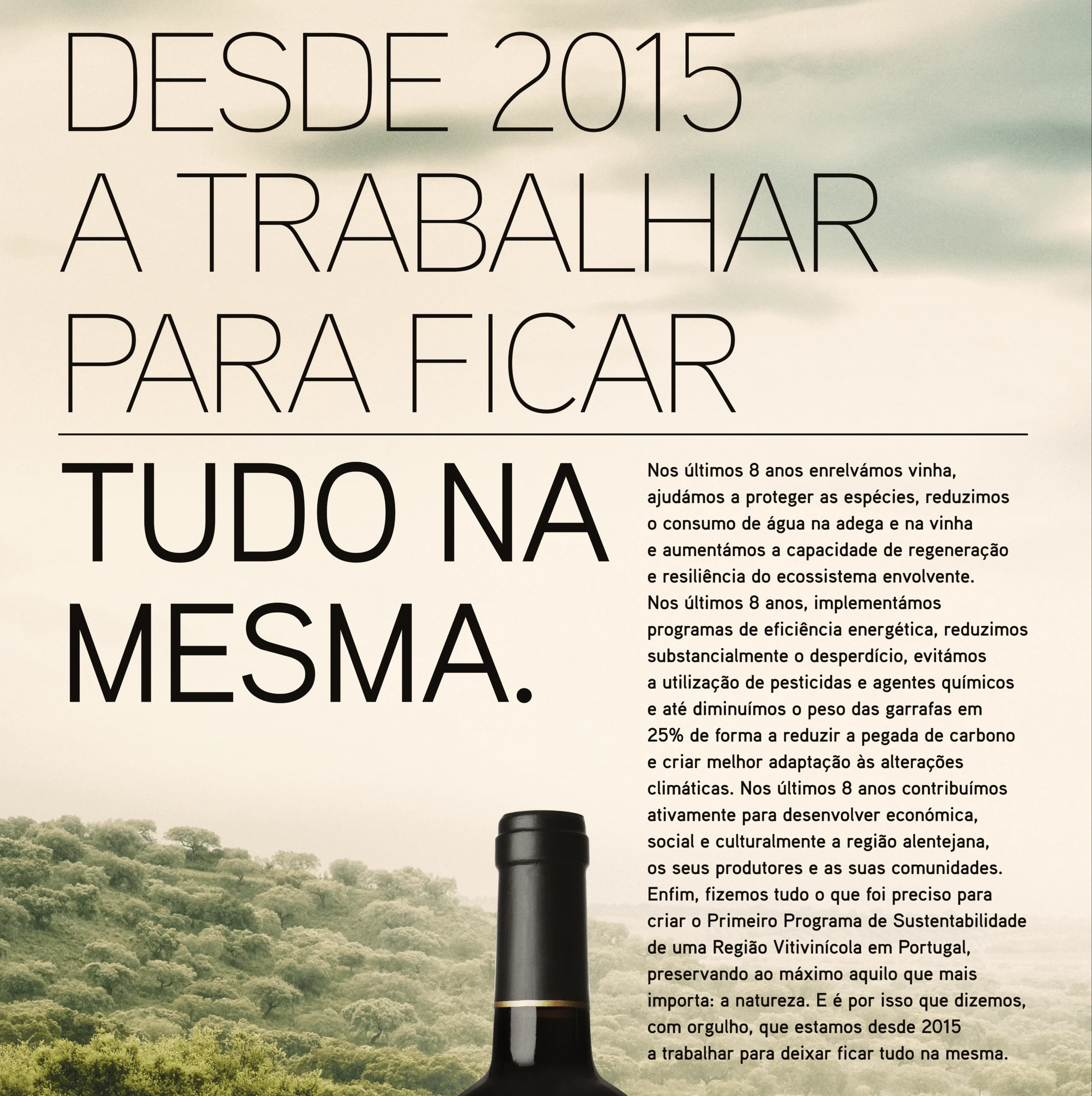 Vinhos do Alentejo lançam campanha focada na produção sustentável