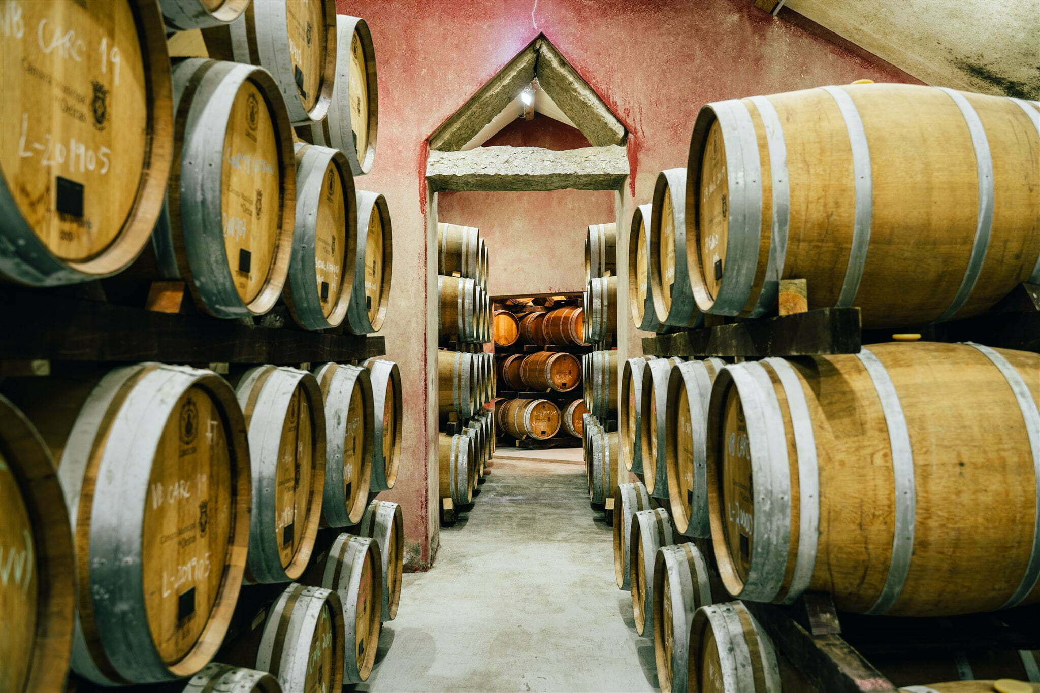 Região Demarcada dos Vinhos de Lisboa soma resultados históricos em 2022