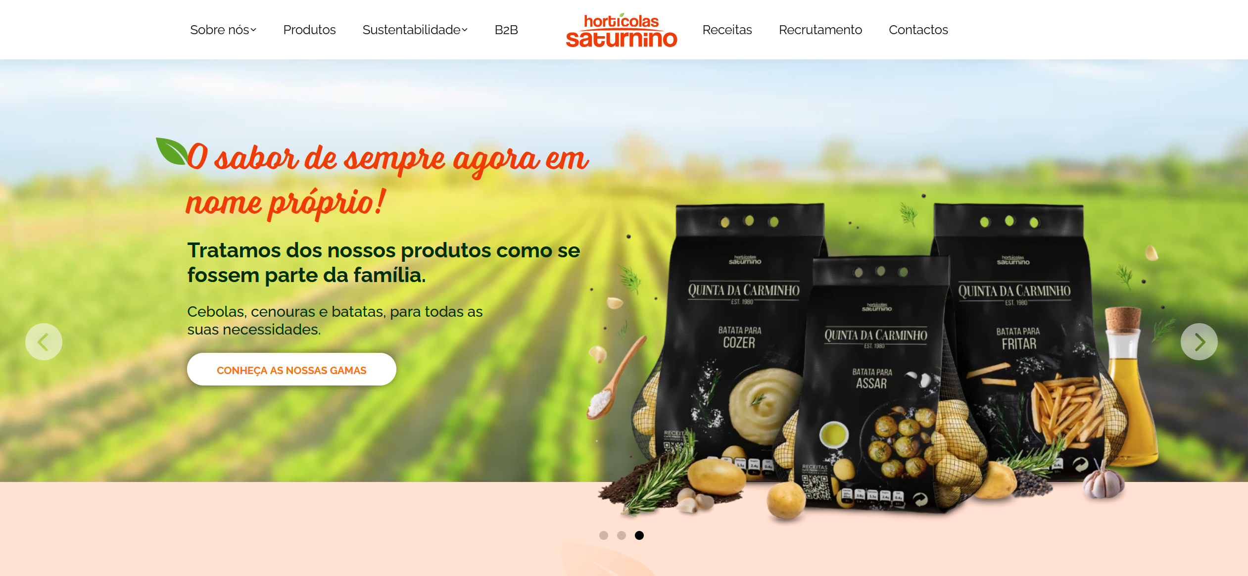 Hortícolas Saturnino