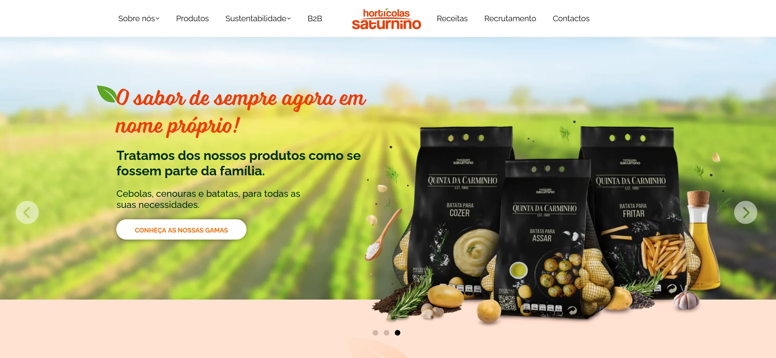 Hortícolas Saturnino lançam presença online