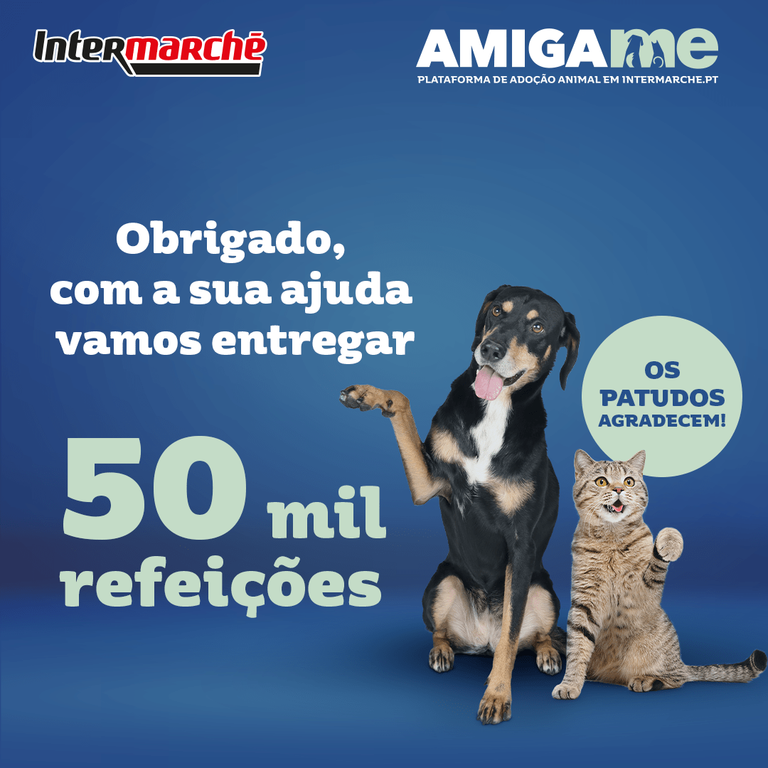 Intermarché angaria 50 mil refeições para animais com campanha Amiga-me
