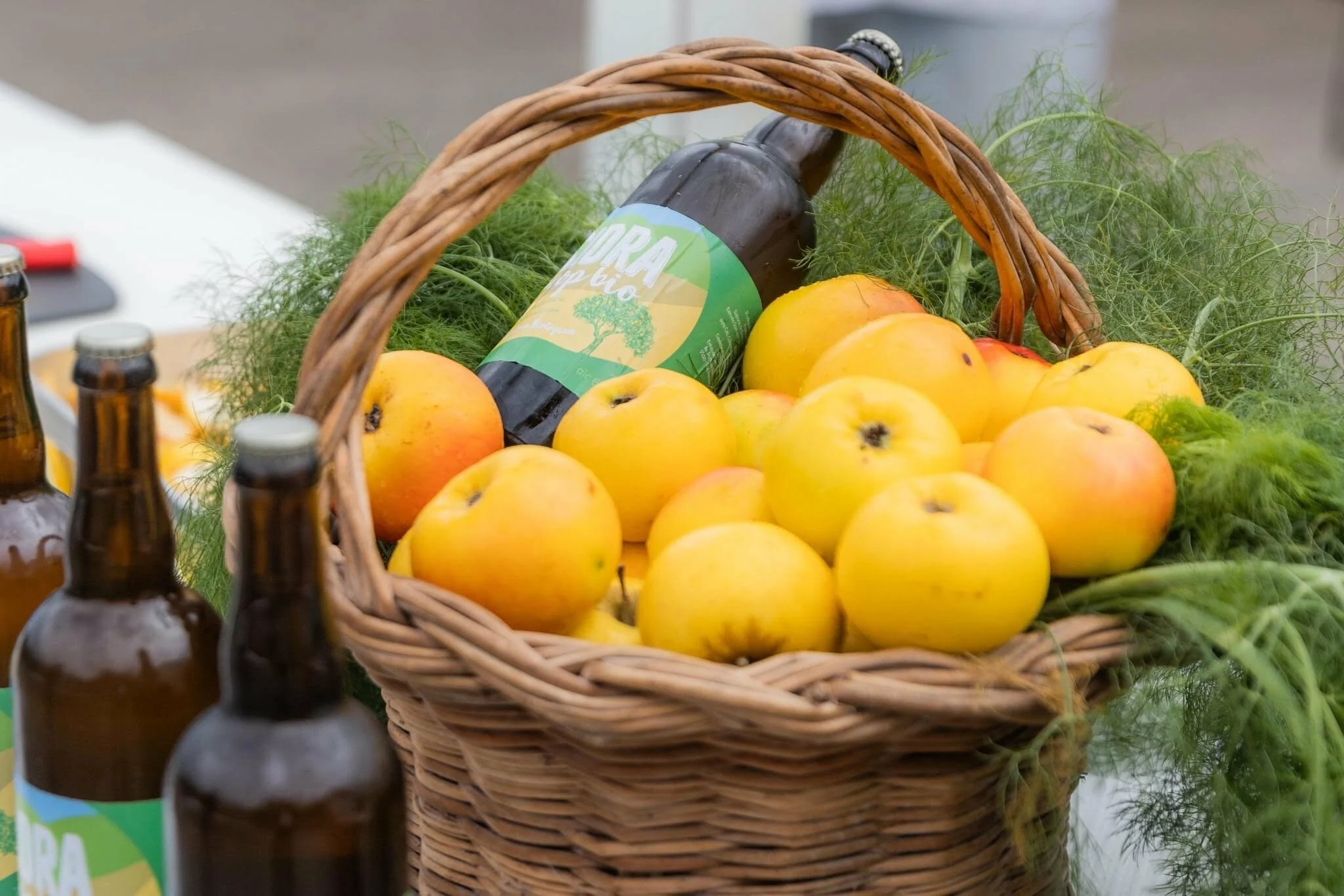 Nasceu a Sidra Coop Bio, a primeira sidra biológica da Madeira