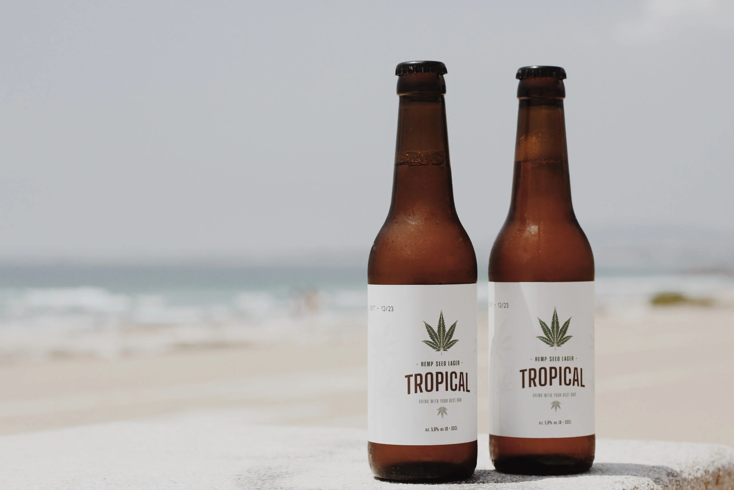 Tropical é a nova cerveja artesanal de cânhamo