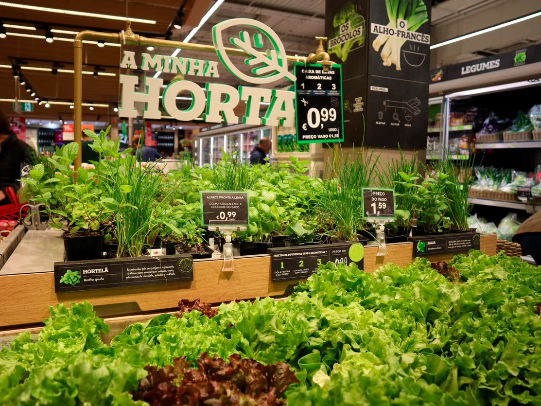Continente lança projeto A Minha Horta em três lojas