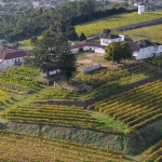 Quinta de S. Salvador