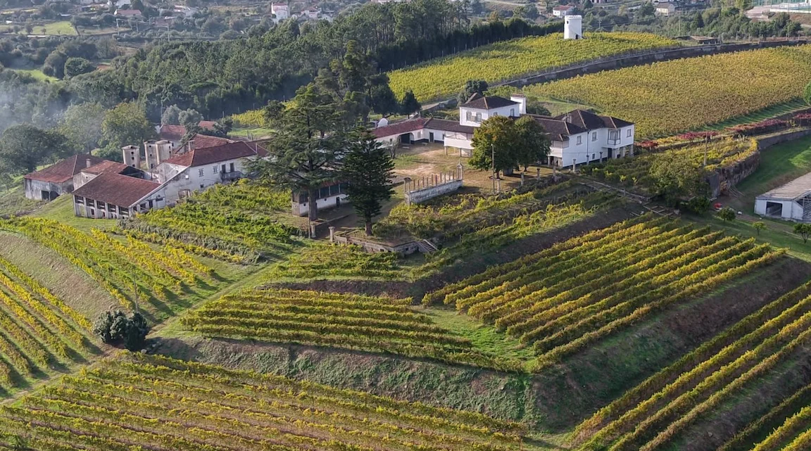 Granvinhos alarga negócios à Região dos Vinhos Verdes com aquisição da Quinta de S. Salvador da Torre
