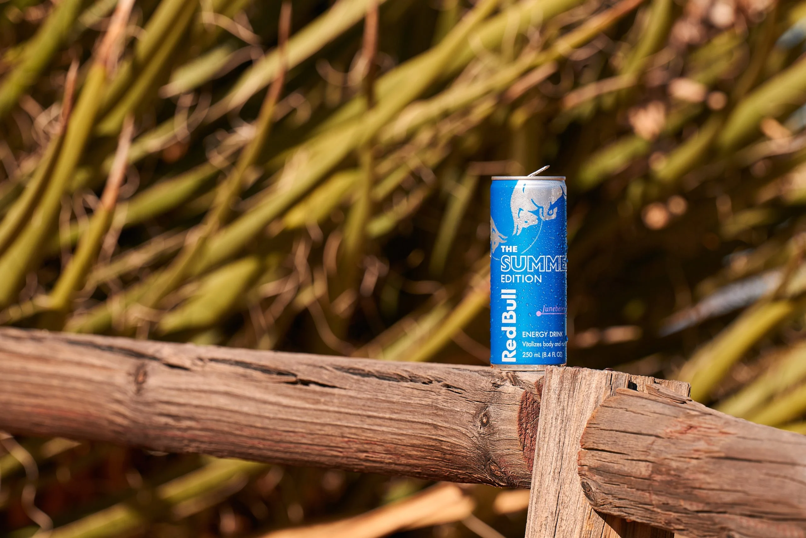 Red Bull lança sabor Juneberry no mercado nacional