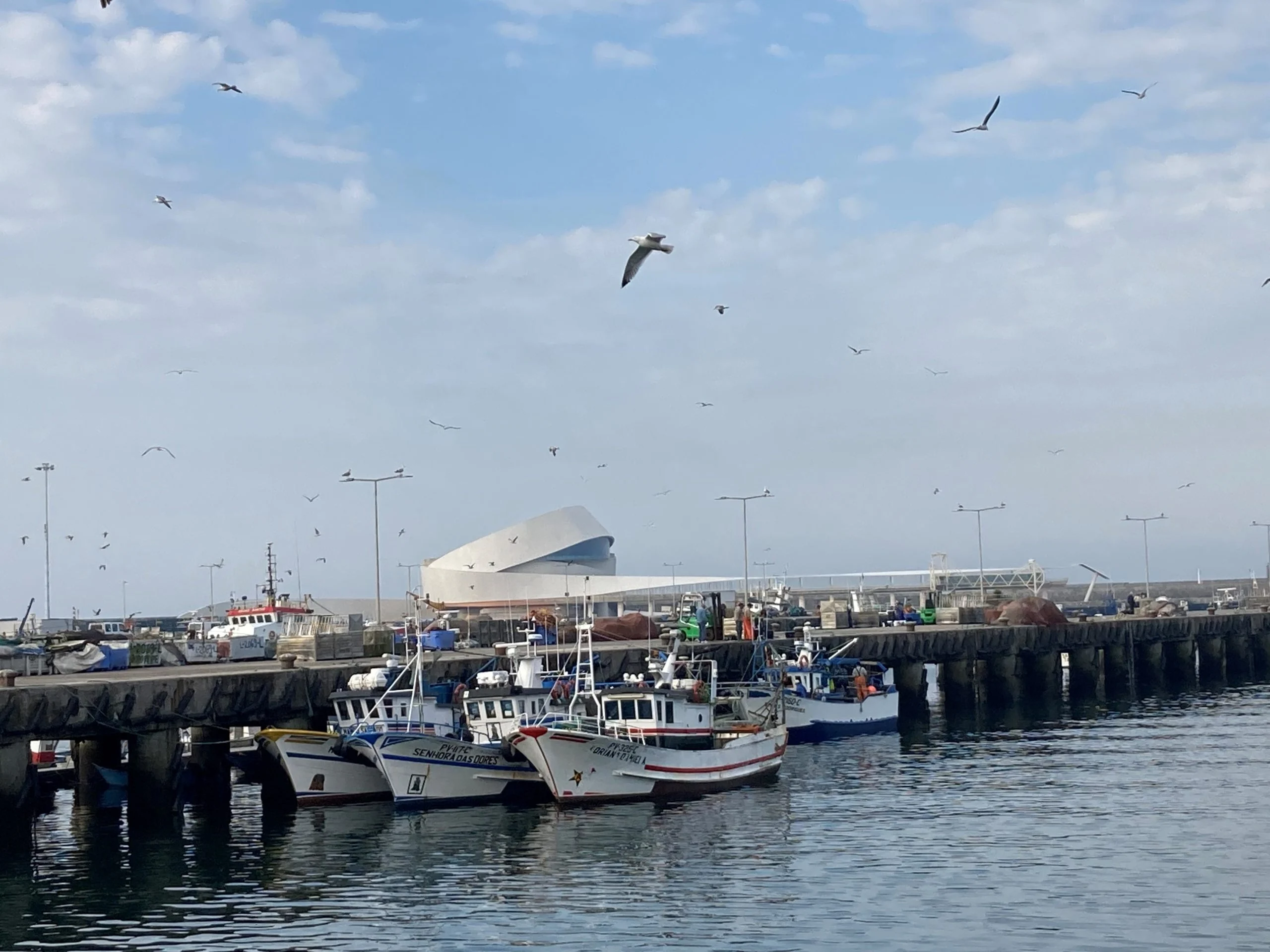 Pinhais inicia período nobre de produção com o arranque da época da pesca da sardinha