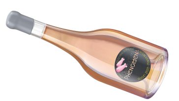 Quanta Terra Phenomena 2022