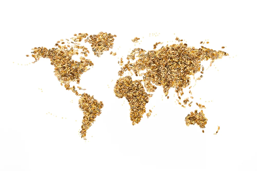 Portugal entre os países mais afetados pela disrupção na cadeia agroalimentar causada pela guerra na Ucrânia