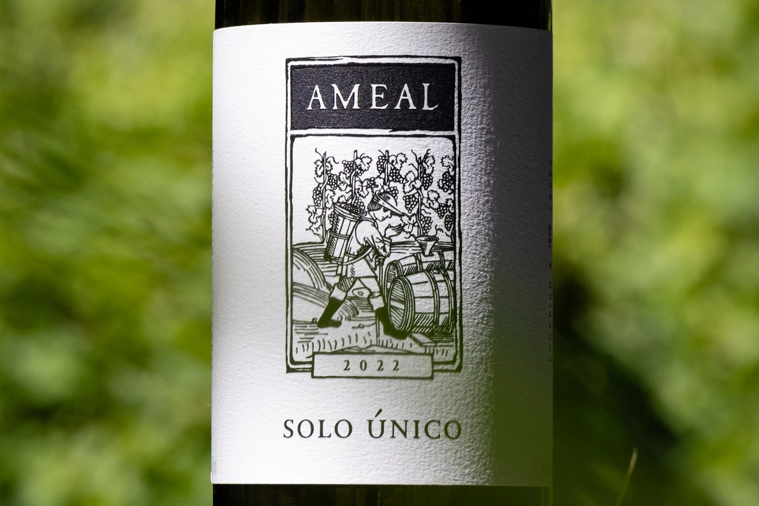Quinta do Ameal lança nova colheita de Solo Único