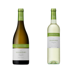 João Portugal Ramos