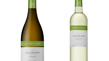 João Portugal Ramos