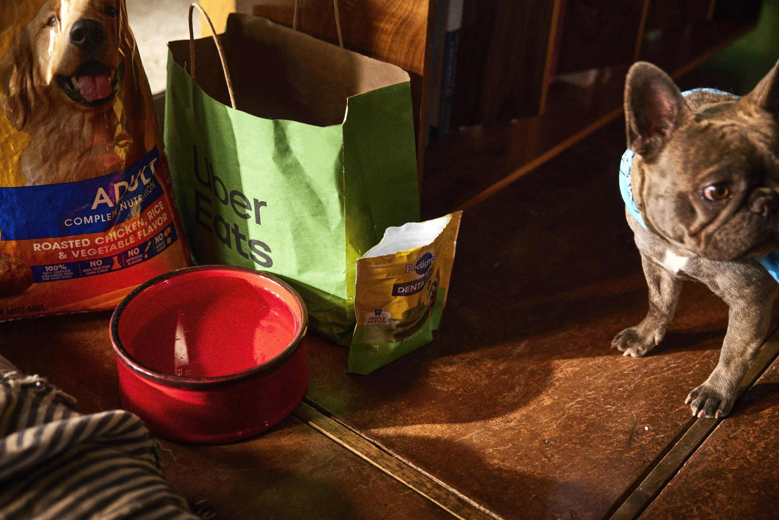 Uber Eats cria uma campanha a pensar nos companheiros de quatro patas